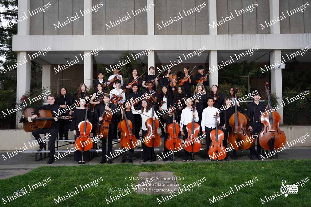 Musical Images